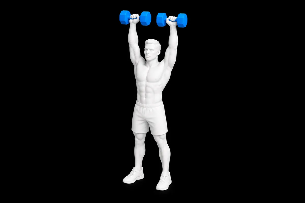 Dumbbell Shoulder Press exercise illustration showing the movement position