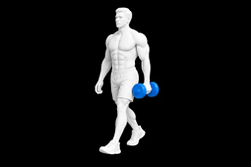 Dumbbell Suitcase Carry exercise illustration showing the movement position
