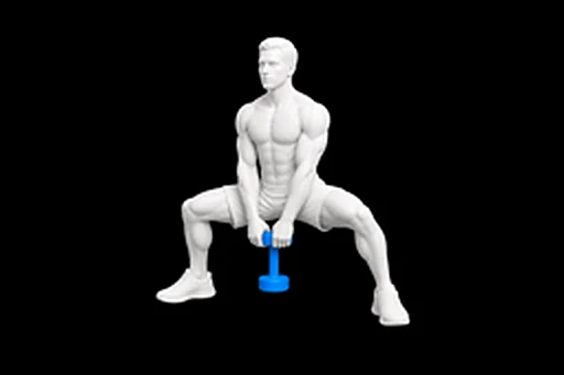 Dumbbell Sumo Squat exercise illustration showing the movement position
