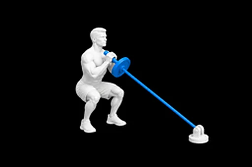 Landmine Squat exercise illustration showing the movement position