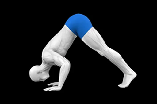 Pike Push-up exercise illustration showing the movement position