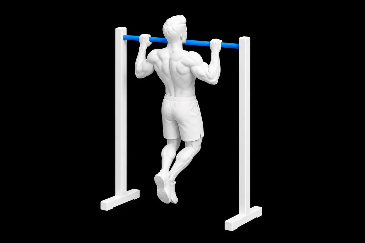 Pull-ups exercise illustration showing the movement position