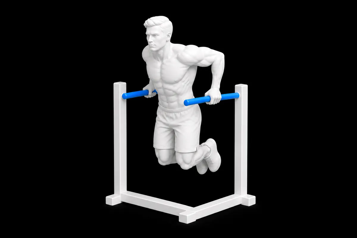 Triceps Dips exercise illustration showing the movement position